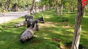 مرگ هولناک یک کودک بر اثر سقوط مجسمه در پارک/ عکس