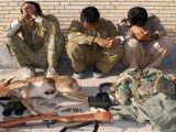 دستگیری باند حرفه‌ای شکارچیان قوچ وحشی در لرستان