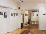 «تجلی هنر» با حضور ۳۷ هنرمند در یک گالری