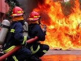 سوختن ۳ سمند در آتش/ توضیحات آتش‌نشانی