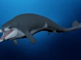 کشف حیرت‌انگیز یک نهنگ پادار در مصر! / عکس