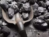 زغال فروشان به تهرانی‌ها هشدار دادند/ عکس