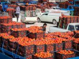 مسوولان قول دادند: تب بازار گوجه فرنگی ۱۰ روز دیگر می‌خوابد