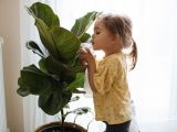 هشدار به والدین؛ این ۸ گیاه سمی و خطرناک را بشناسید