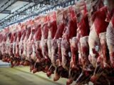 تصویری از کشتارگاه و گوشت های گاو اویزون شده