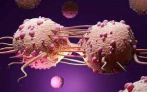 تصویری از سلول های سرطانی