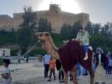 شتر سواری نوروزی در میراث‌ جهانی شوش