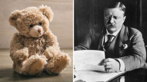 داستان تدی ؛ رئیس جمهوری که تبدیل به معروف ترین خرس جهان شد!