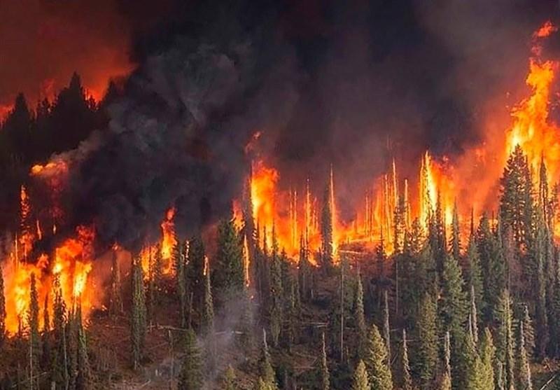 جنگل‌های پلدختر همچنان در آتش می‌سوزند!