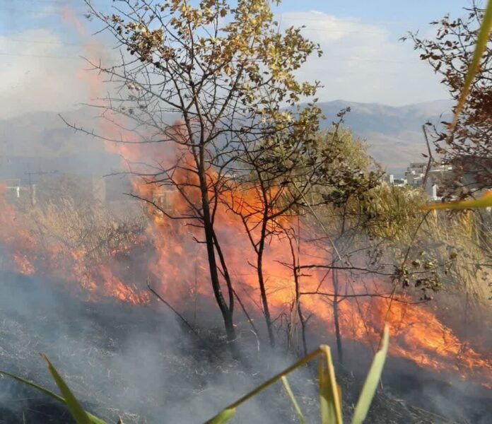 خسارت آتش به هشت هزار مترمربع از عرصه‌های ملی گلستان