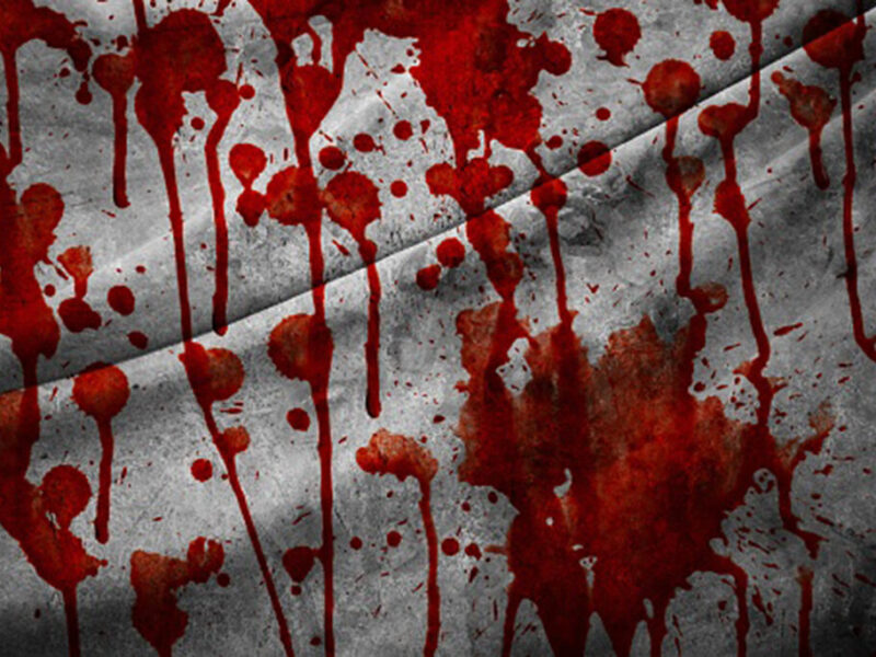 قتل هولناک ۲ برادر به دست ۳ نوجوان سارق