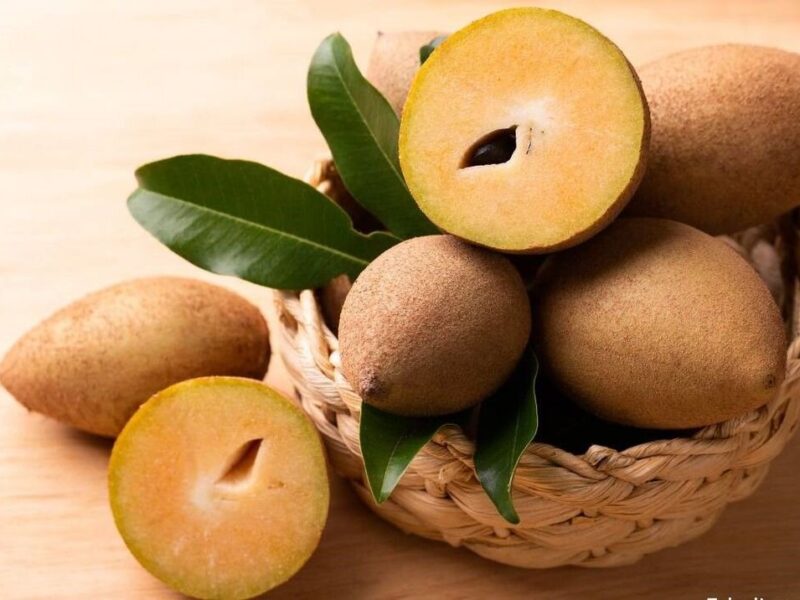 برداشت این میوه عجیب در استان سیستان و بلوچستان!