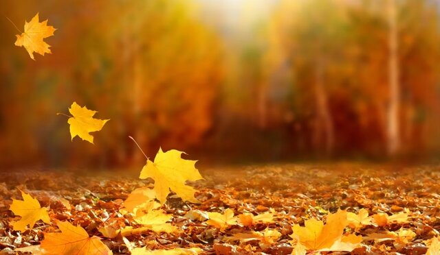 اختلال عاطفی فصلی