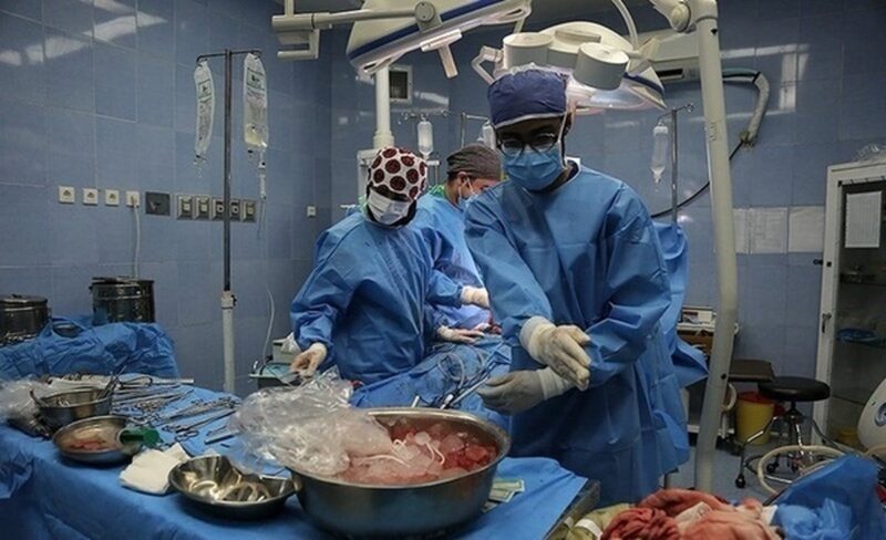 دانش آموز تربتی