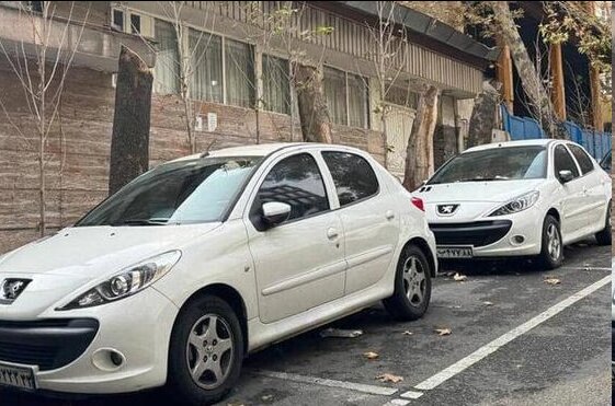 قطع درختان خیابان فرشته