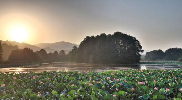 تالاب کیاکلایه