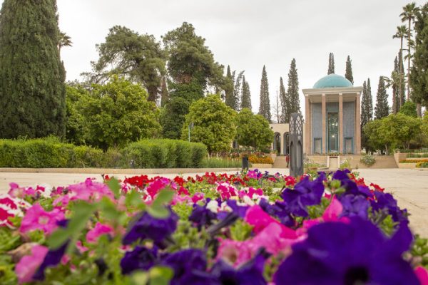 سعدی‌