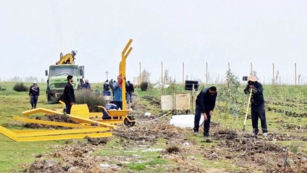 میانکاله