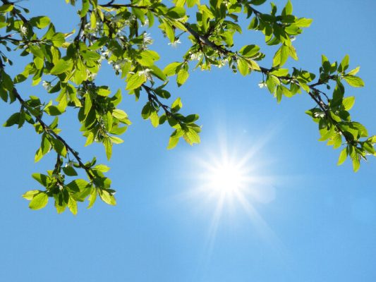 افزایش تدریجی دما