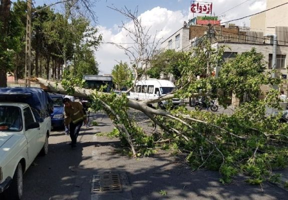 تهران