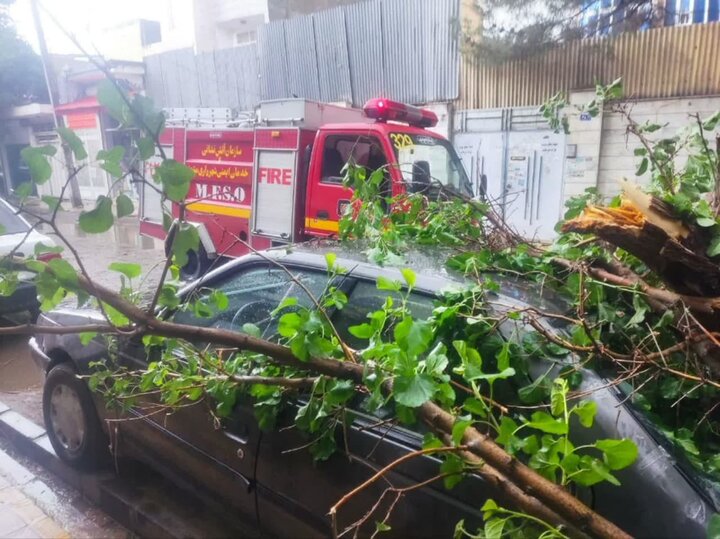 خسارت ناشی از توفان