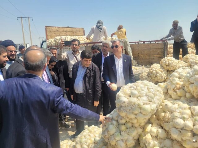پیاز