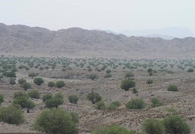 خراسان‌جنوبی