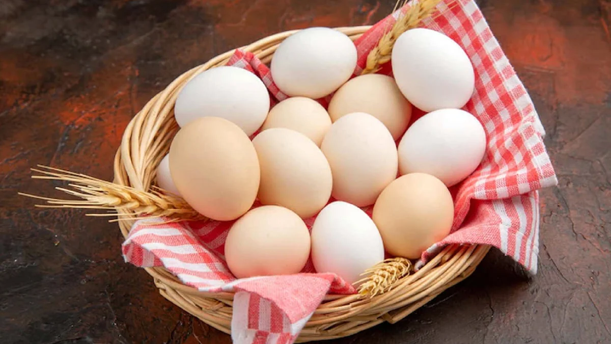 Properties of egg.jpg