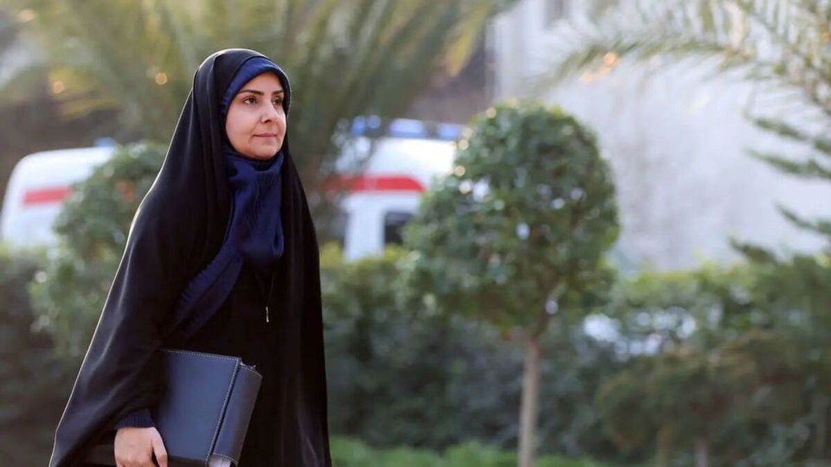 سخنگوی هواپیمایی: پول سفر خانم وزیر از حقوقش کم می‌شود