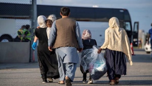 سخنگوی پلیس: اتباع خارجی غیرمجاز تحت هیچ شرایطی نمی‌توانند در ایران باقی بمانند