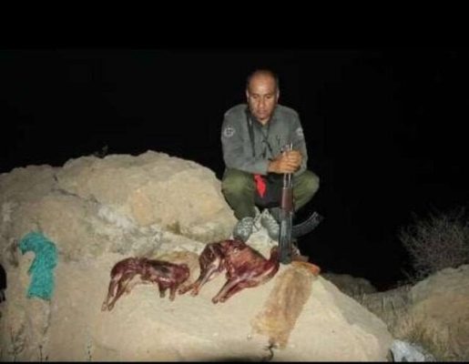 قاتل محیط بان «خائیز» شناسایی شد