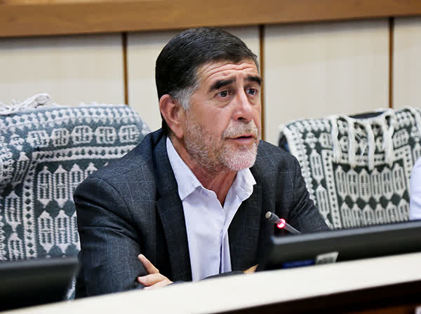 ترکمانی